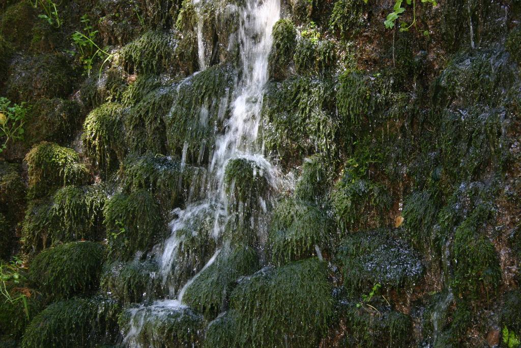 Alojamiento Rural Sierra De Gudar Valbona Exterior foto
